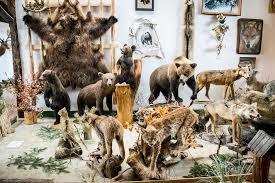 Muzeum Przyrodniczo-Łowieckie "Knieja" w Nowosiółkach